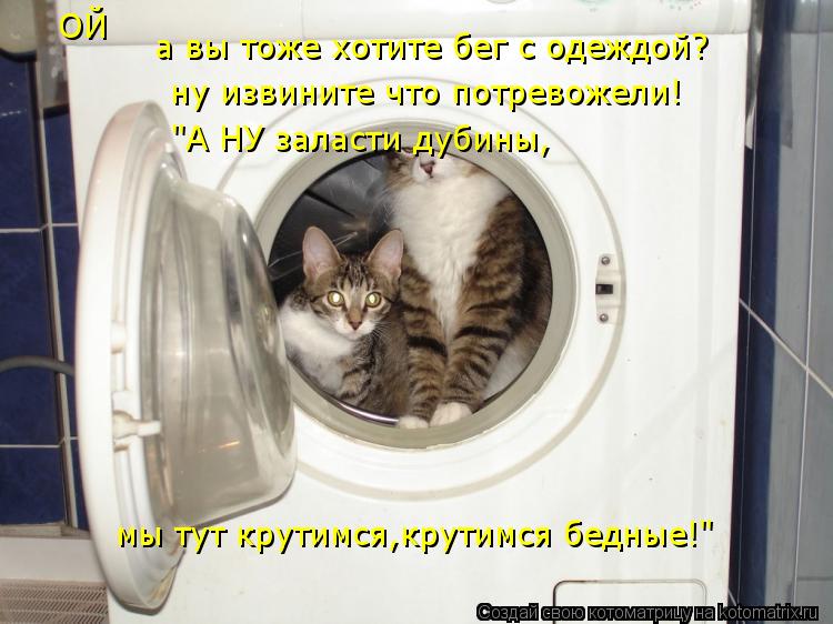ОЙ а вы тоже хотите бег с одеждой? ну извините что потревожели! "А НУ заласти дубины, мы тут крутимс... Котоматрица: ОЙ а вы тоже хотите бег с одеждой? ну извините что потревожели! "А НУ заласти дубины, мы тут крутимся,крутимся бедные!"