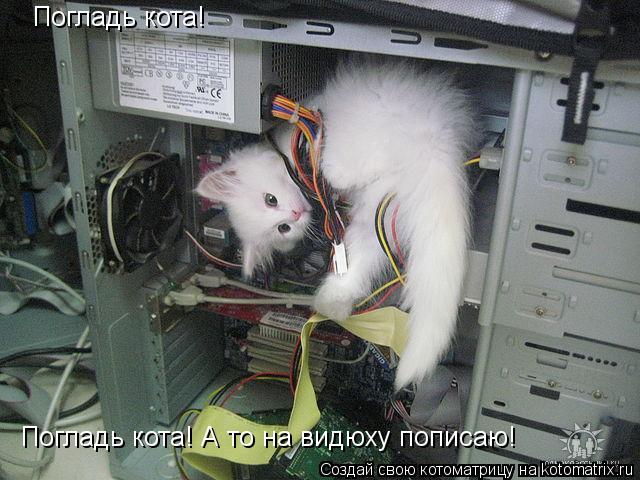 Погладь кота! Погладь кота! А то на видюху пописаю!... Котоматрица: Погладь кота! Погладь кота! А то на видюху пописаю!