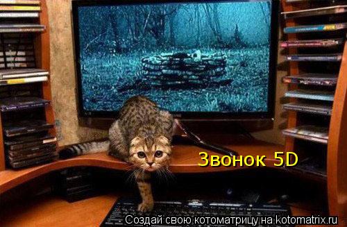 Звонок 5D... Котоматрица: Звонок 5D