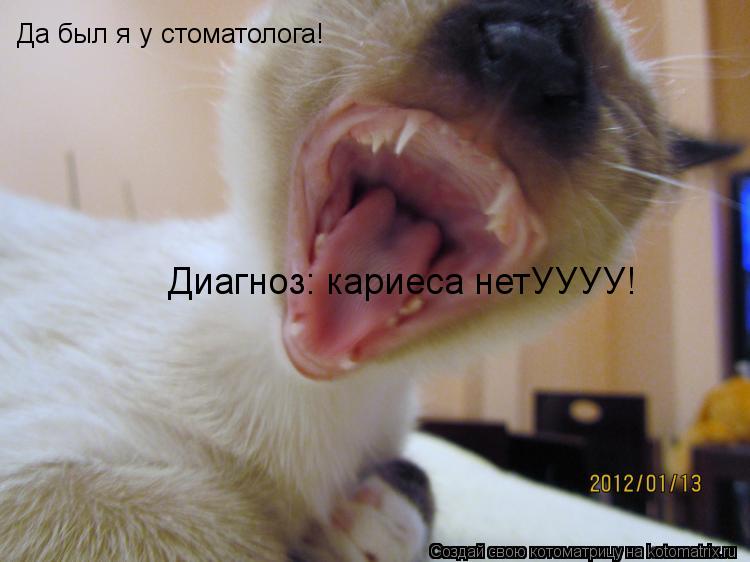 Да был я у стоматолога! Диагноз: кариеса нетУУУУ!... Котоматрица: Да был я у стоматолога! Диагноз: кариеса нетУУУУ!