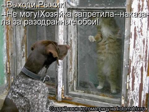 --Выходи,Рыжик! --Не могу!Хозяйка запретила--наказа- ла за разодранные обои!... Котоматрица: --Выходи,Рыжик! --Не могу!Хозяйка запретила--наказа- ла за разодранные обои!