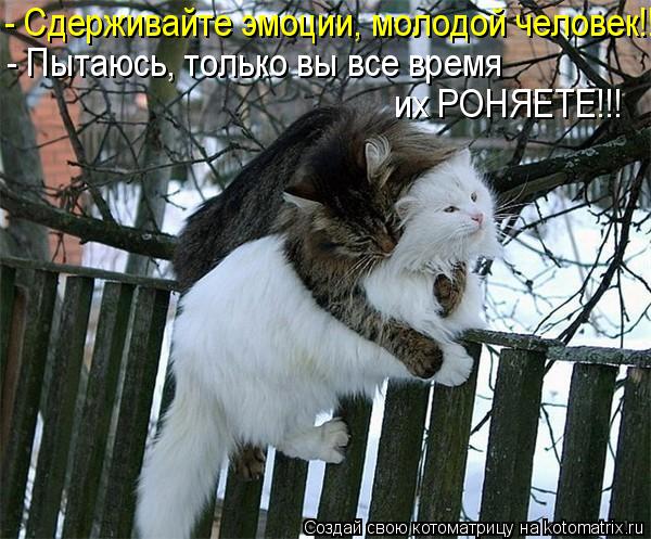 - Сдерживайте эмоции, молодой человек!!! - Пытаюсь, только вы все время их РОНЯЕТЕ!!!... Котоматрица: - Сдерживайте эмоции, молодой человек!!! - Пытаюсь, только вы все время их РОНЯЕТЕ!!!