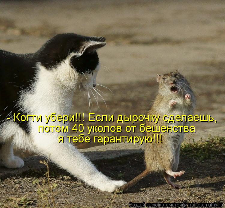 - Когти убери!!! Если дырочку сделаешь, потом 40 уколов от бешенства я тебе гарантирую!!!... Котоматрица: - Когти убери!!! Если дырочку сделаешь, потом 40 уколов от бешенства я тебе гарантирую!!!