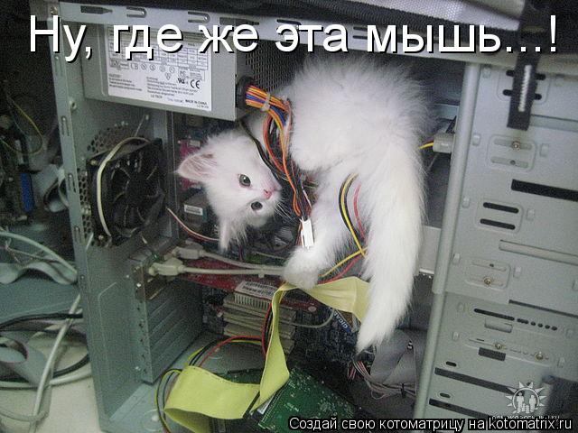 Ну, где же эта мышь...!... Котоматрица: Ну, где же эта мышь...!