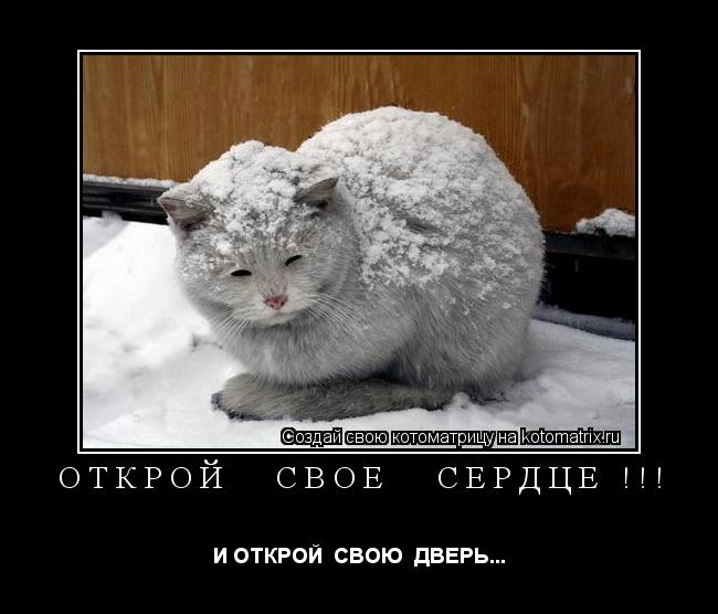 ОТКРОЙ СВОЕ СЕРДЦЕ !!! И ОТКРОЙ СВОЮ ДВЕРЬ...... Котоматрица: ОТКРОЙ СВОЕ СЕРДЦЕ !!! И ОТКРОЙ СВОЮ ДВЕРЬ...