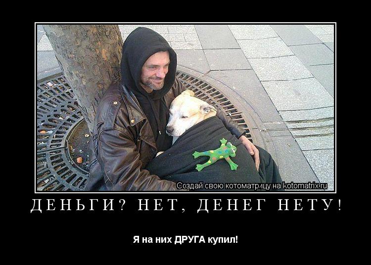 Деньги? нет, денег нету! Я на них ДРУГА купил!... Котоматрица: Деньги? нет, денег нету! Я на них ДРУГА купил!
