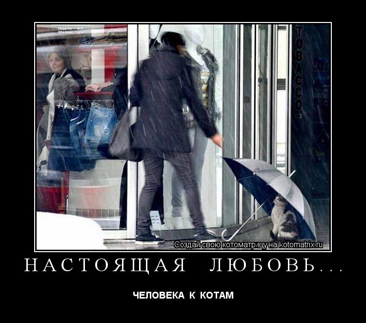 НАСТОЯЩАЯ ЛЮБОВЬ... ЧЕЛОВЕКА К КОТАМ... Котоматрица: НАСТОЯЩАЯ ЛЮБОВЬ... ЧЕЛОВЕКА К КОТАМ