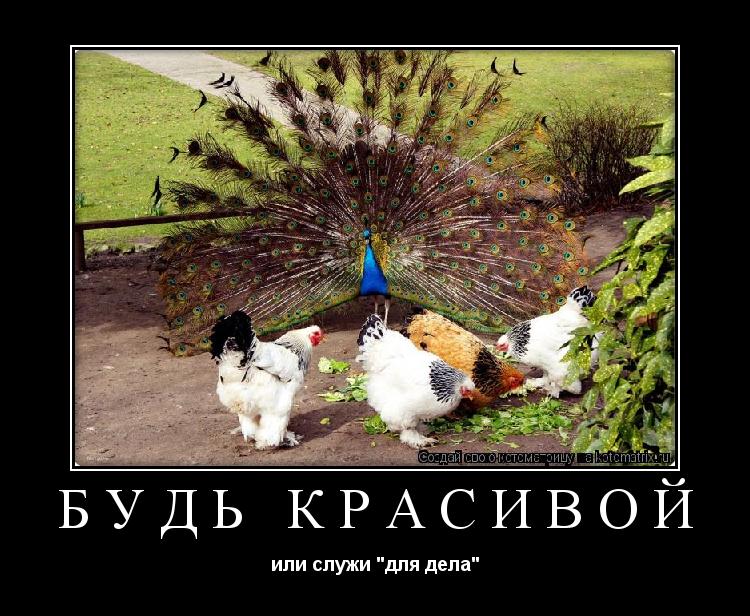 Будь красивой или служи "для дела"... Котоматрица: Будь красивой или служи "для дела"