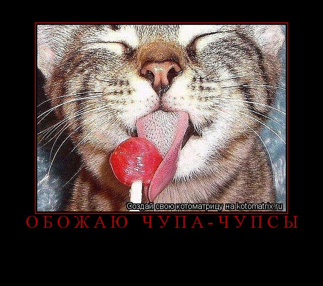 Обожаю чупа-чупсы ... Котоматрица: Обожаю чупа-чупсы