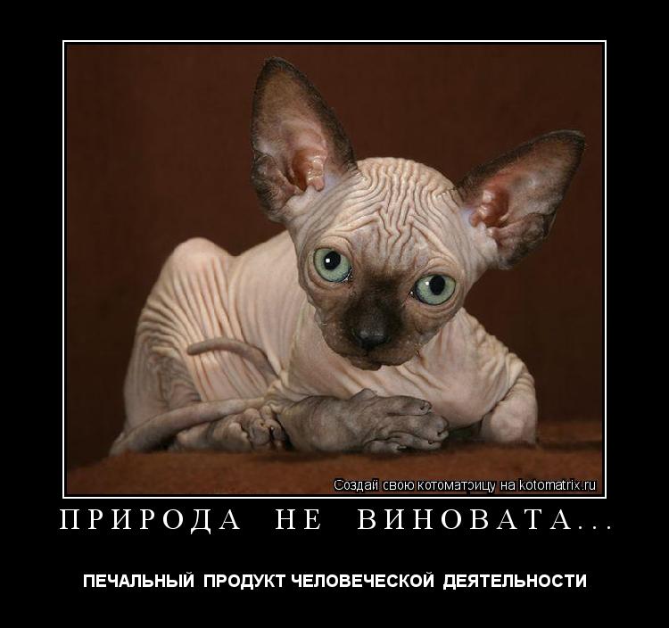 ПРИРОДА НЕ ВИНОВАТА... ПЕЧАЛЬНЫЙ ПРОДУКТ ЧЕЛОВЕЧЕСКОЙ ДЕЯТЕЛЬНОСТИ... Котоматрица: ПРИРОДА НЕ ВИНОВАТА... ПЕЧАЛЬНЫЙ ПРОДУКТ ЧЕЛОВЕЧЕСКОЙ ДЕЯТЕЛЬНОСТИ