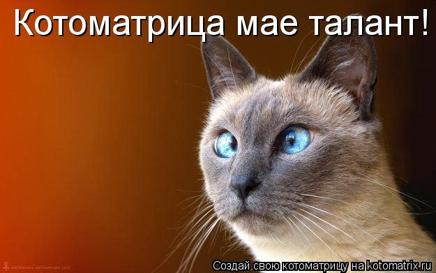 Котоматрица мае талант!... Котоматрица: Котоматрица мае талант!