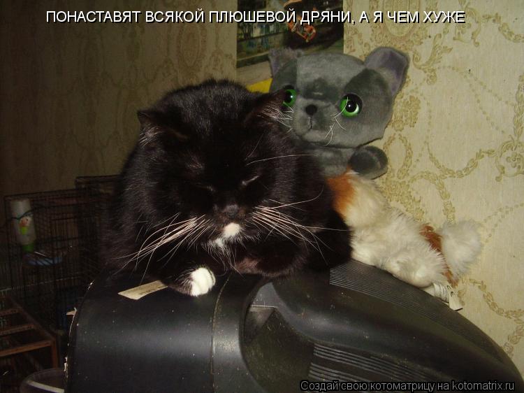 ПОНАСТАВЯТ ВСЯКОЙ ПЛЮШЕВОЙ ДРЯНИ, А Я ЧЕМ ХУЖЕ... Котоматрица: ПОНАСТАВЯТ ВСЯКОЙ ПЛЮШЕВОЙ ДРЯНИ, А Я ЧЕМ ХУЖЕ