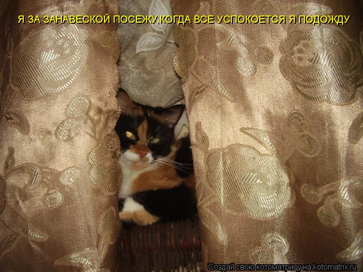 Я ЗА ЗАНАВЕСКОЙ ПОСЕЖУ,КОГДА ВСЕ УСПОКОЕТСЯ Я ПОДОЖДУ... Котоматрица: Я ЗА ЗАНАВЕСКОЙ ПОСЕЖУ,КОГДА ВСЕ УСПОКОЕТСЯ Я ПОДОЖДУ