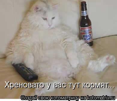 Хреновато у вас тут кормят...... Котоматрица: Хреновато у вас тут кормят...