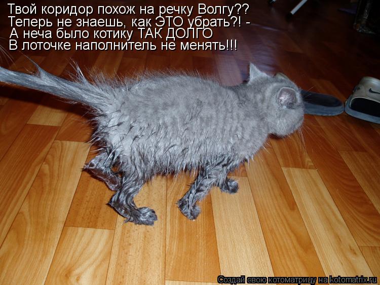 Котоматрица: Твой коридор похож на речку Волгу?? Теперь не знаешь, как ЭТО убрать?! - А неча было котику ТАК ДОЛГО В лоточке наполнитель не менять!!!