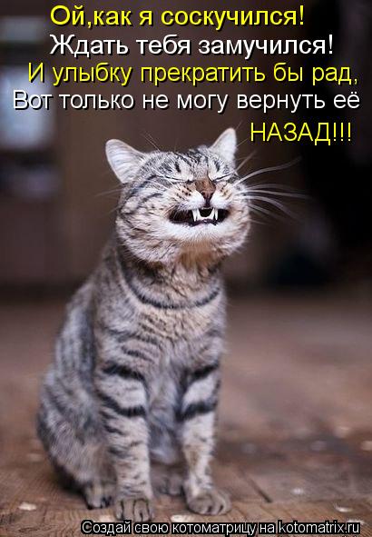 Ой,как я соскучился! Ждать тебя замучился! И улыбку прекратить бы рад, Вот только не могу вернуть её ... Котоматрица: Ой,как я соскучился! Ждать тебя замучился! И улыбку прекратить бы рад, Вот только не могу вернуть её НАЗАД!!!