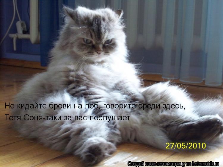 Котоматрица: Не кидайте брови на лоб, говорите среди здесь, Тетя Соня-таки за вас послушает.