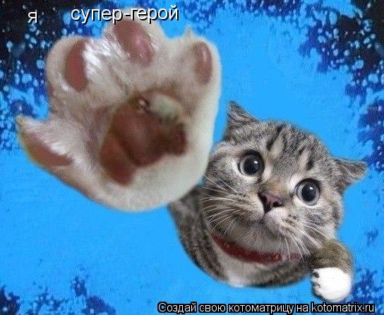 Котоматрица: я сепер супер -герой