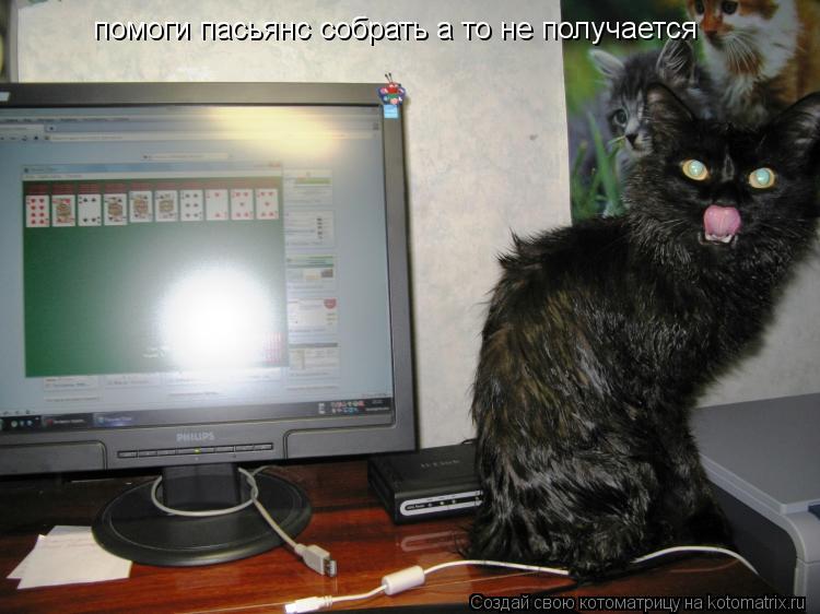 Котоматрица: помоги пасьянс собрать а то не получается