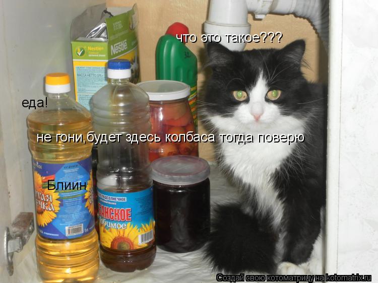 Котоматрица: что это такое??? еда! не гони,будет здесь колбаса тогда поверю Блиин