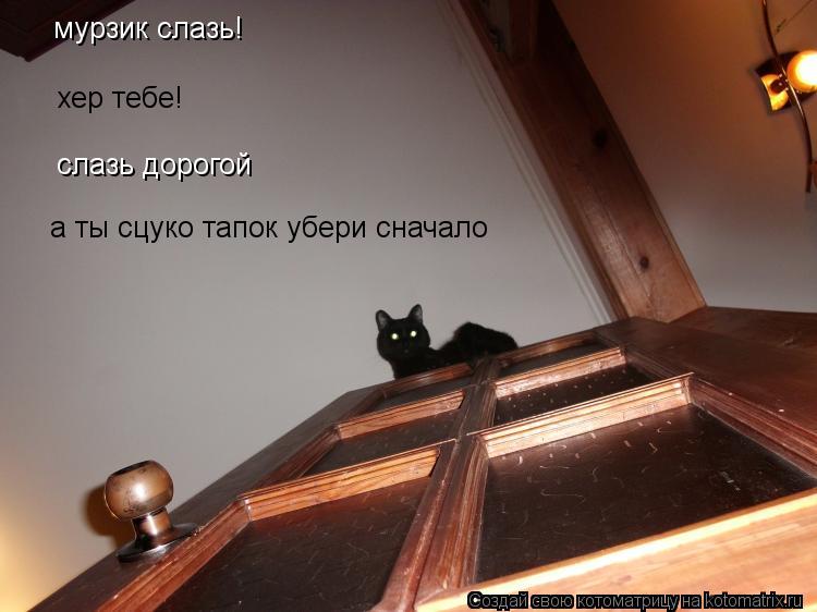 Котоматрица: мурзик слазь! хер тебе! слазь дорогой а ты сцуко тапок убери сначало