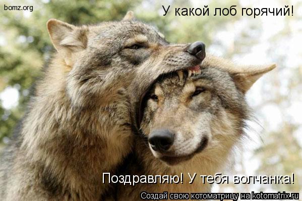 У какой лоб горячий! Поздравляю! У тебя волчанка!... Котоматрица: У какой лоб горячий! Поздравляю! У тебя волчанка!