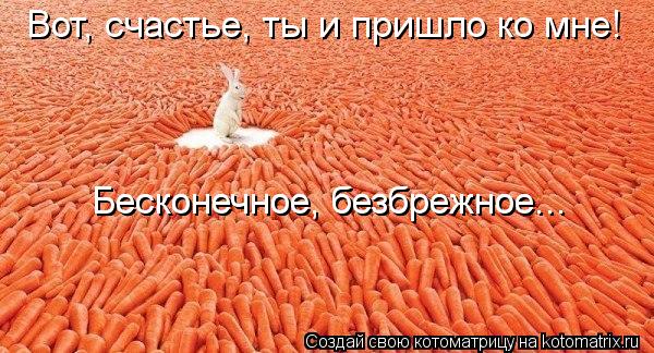 Вот, счастье, ты и пришло ко мне! Бесконечное, безбрежное... Бесконечное, безбрежное...... Котоматрица: Вот, счастье, ты и пришло ко мне! Бесконечное, безбрежное... Бесконечное, безбрежное...
