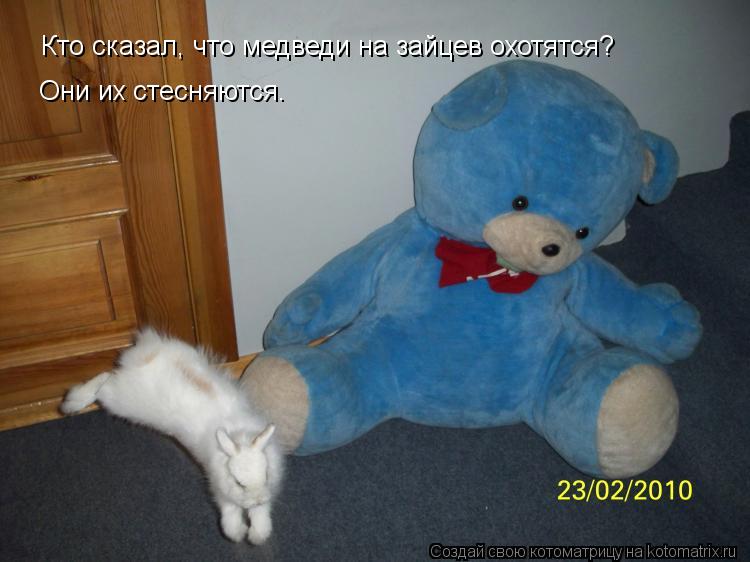 Кто сказал, что медведи на зайцев охотятся? Они их стесняются.... Котоматрица: Кто сказал, что медведи на зайцев охотятся? Они их стесняются.
