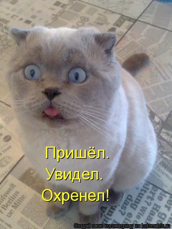 Пришёл. Охренел! Увидел.... Котоматрица: Пришёл. Охренел! Увидел.