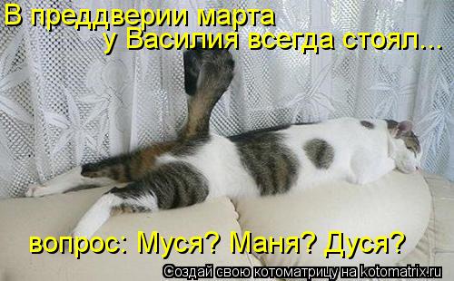 В преддверии марта у Василия всегда стоял... вопрос: Муся? Маня? Дуся?... Котоматрица: В преддверии марта у Василия всегда стоял... вопрос: Муся? Маня? Дуся?