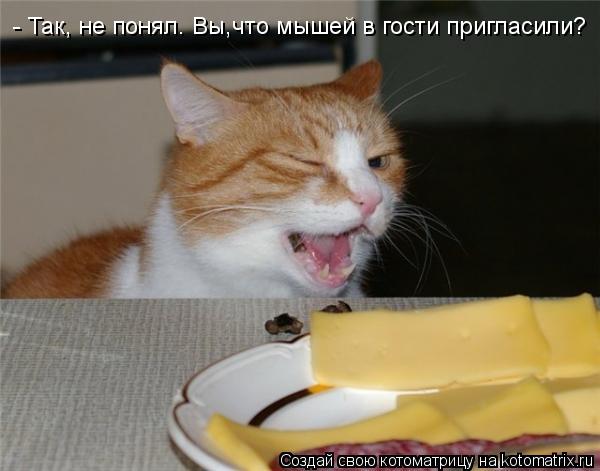- Так, не понял. Вы,что мышей в гости пригласили?... Котоматрица: - Так, не понял. Вы,что мышей в гости пригласили?
