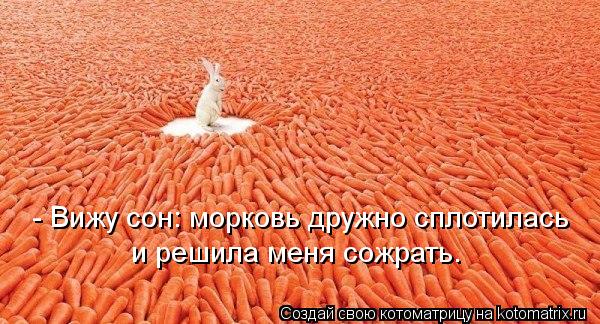 - Вижу сон: морковь дружно сплотилась и решила меня сожрать.... Котоматрица: - Вижу сон: морковь дружно сплотилась и решила меня сожрать.