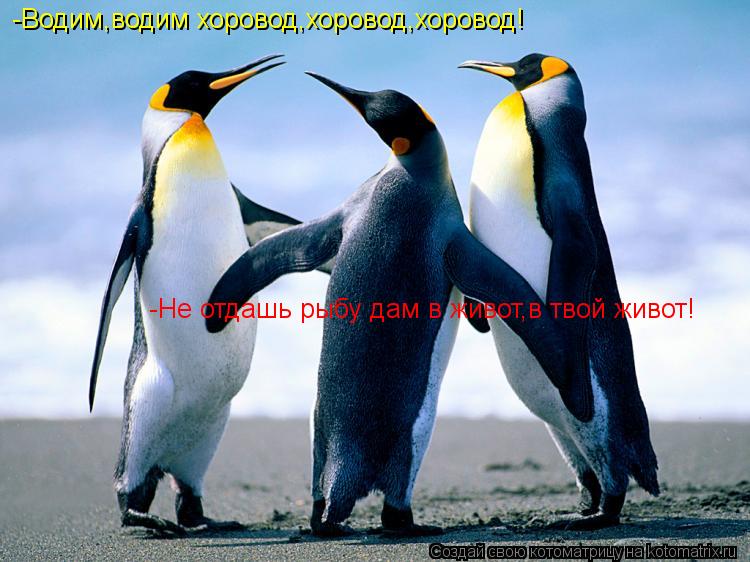 -Водим,водим хоровод,хоровод,хоровод! -Не отдашь рыбу дам в живот,в твой живот!... Котоматрица: -Водим,водим хоровод,хоровод,хоровод! -Не отдашь рыбу дам в живот,в твой живот!