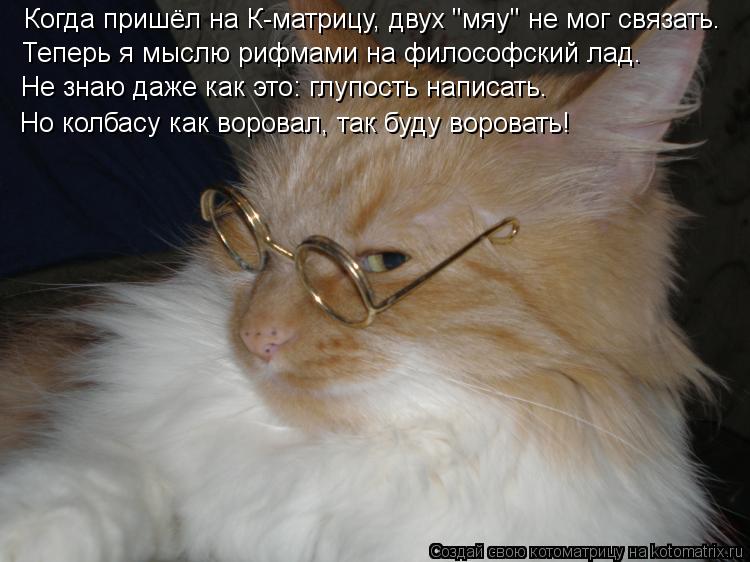 Котоматрица: Когда пришёл на К-матрицу, двух "мяу" не мог связать. Теперь я мыслю рифмами на философский лад. Не знаю даже как это: глупость написать. Но ко
