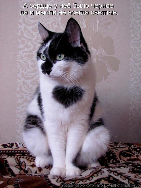 А сердце у неё было чёрное, да и мысли не всегда светлые.... Котоматрица: А сердце у неё было чёрное, да и мысли не всегда светлые.