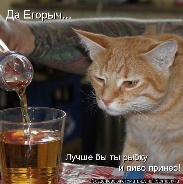 и пиво принес! Лучше бы ты рыбку Да Егорыч...... Котоматрица: и пиво принес! Лучше бы ты рыбку Да Егорыч...