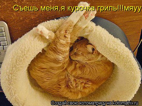 Съешь меня,я курочка гриль!!!мяуу... Котоматрица: Съешь меня,я курочка гриль!!!мяуу
