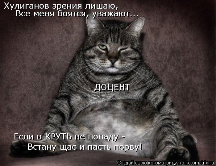 ДОЦЕНТ Хулиганов зрения лишаю, Встану щас и пасть порву! Если в КРУТЬ не попаду - Все меня боятся, у... Котоматрица: ДОЦЕНТ Хулиганов зрения лишаю, Встану щас и пасть порву! Если в КРУТЬ не попаду - Все меня боятся, уважают...