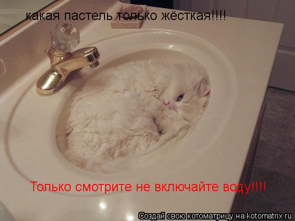 какая пастель только жёсткая!!!! Только смотрите не включайте воду!!!!... Котоматрица: какая пастель только жёсткая!!!! Только смотрите не включайте воду!!!!