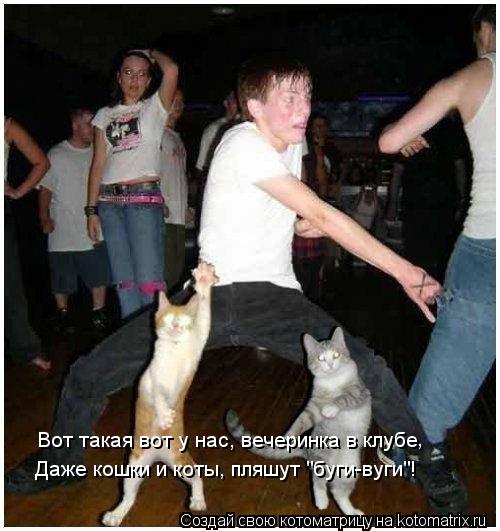 Котоматрица: Вот такая вот у нас, вечеринка в клубе , Даже кошки и коты, пляшут "буги-вуги"!