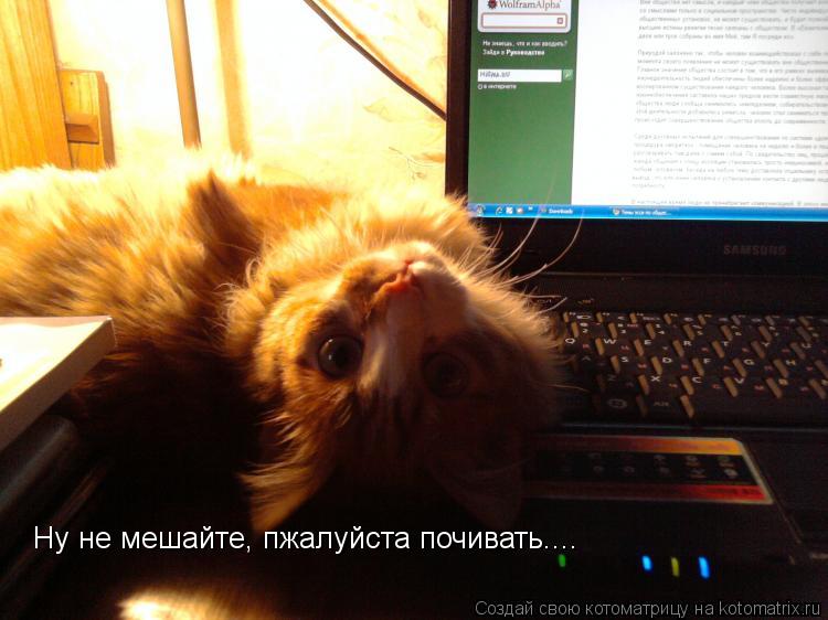Ну не мешайте, пжалуйста почивать....... Котоматрица: Ну не мешайте, пжалуйста почивать....