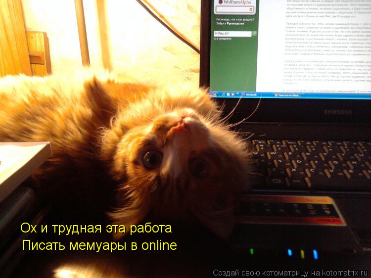 Ох и трудная эта работа Писать мемуары в online... Котоматрица: Ох и трудная эта работа Писать мемуары в online