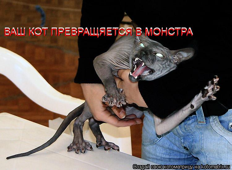 ВАШ КОТ ПРЕВРАЩЯЕТСЯ В МОНСТРА ВАШ КОТ ПРЕВРАЩЯЕТСЯ В МОНСТРА... Котоматрица: ВАШ КОТ ПРЕВРАЩЯЕТСЯ В МОНСТРА ВАШ КОТ ПРЕВРАЩЯЕТСЯ В МОНСТРА