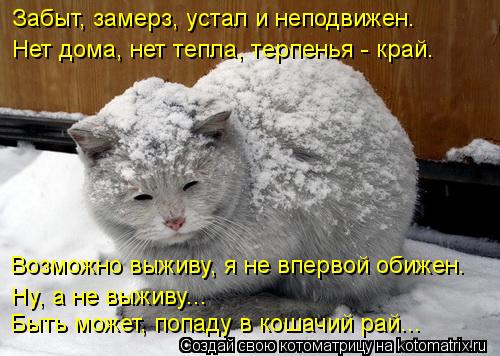 Котоматрица: Забыт, замерз, устал и неподвижен. Нет дома, нет тепла, терпенья - край. Возможно выживу, я не впервой обижен. Ну, а не выживу... Быть может, попа