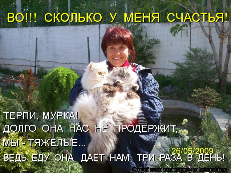 ТЕРПИ, МУРКА! ДОЛГО ОНА НАС НЕ ПРОДЕРЖИТ, МЫ - ТЯЖЕЛЫЕ... ВО!!! СКОЛЬКО У МЕНЯ СЧАСТЬЯ! ВЕДЬ ... Котоматрица: ТЕРПИ, МУРКА! ДОЛГО ОНА НАС НЕ ПРОДЕРЖИТ, МЫ - ТЯЖЕЛЫЕ... ВО!!! СКОЛЬКО У МЕНЯ СЧАСТЬЯ! ВЕДЬ ЕДУ ОНА ДАЕТ НАМ ТРИ РАЗА В ДЕНЬ!