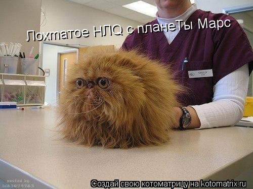 Лoxmaтoe HЛQ c nлaнеTы Maрc... Котоматрица: Лoxmaтoe HЛQ c nлaнеTы Maрc