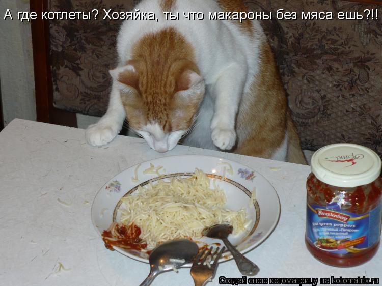 А где котлеты? Хозяйка, ты что макароны без мяса ешь?!!... Котоматрица: А где котлеты? Хозяйка, ты что макароны без мяса ешь?!!