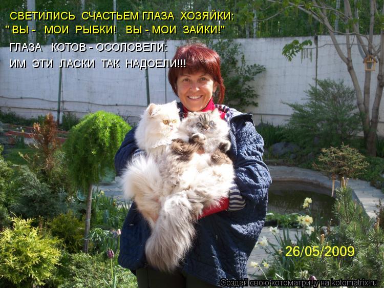 СВЕТИЛИСЬ СЧАСТЬЕМ ГЛАЗА ХОЗЯЙКИ: " ВЫ - МОИ РЫБКИ! ВЫ - МОИ ЗАЙКИ!" ГЛАЗА КОТОВ - ОСОЛОВЕЛ... Котоматрица: СВЕТИЛИСЬ СЧАСТЬЕМ ГЛАЗА ХОЗЯЙКИ: " ВЫ - МОИ РЫБКИ! ВЫ - МОИ ЗАЙКИ!" ГЛАЗА КОТОВ - ОСОЛОВЕЛИ: ИМ ЭТИ ЛАСКИ ТАК НАДОЕЛИ!!!