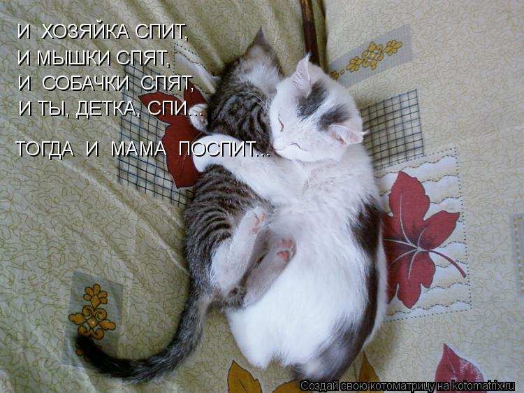 И ХОЗЯЙКА СПИТ, И МЫШКИ СПЯТ, И СОБАЧКИ СПЯТ, И ТЫ, ДЕТКА, СПИ... ТОГДА И МАМА ПОСПИТ...... Котоматрица: И ХОЗЯЙКА СПИТ, И МЫШКИ СПЯТ, И СОБАЧКИ СПЯТ, И ТЫ, ДЕТКА, СПИ... ТОГДА И МАМА ПОСПИТ...