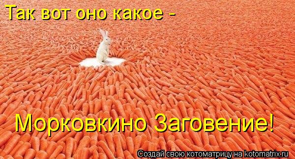 Так вот оно какое - Морковкино Заговение!... Котоматрица: Так вот оно какое - Морковкино Заговение!